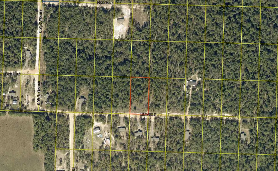 xxx Lee Ann Lane, Defuniak Springs, FL 32433 - #1