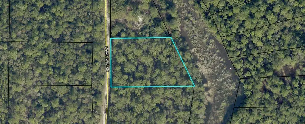 .99AC Dove Run Road, Holt, FL 32564 - #1