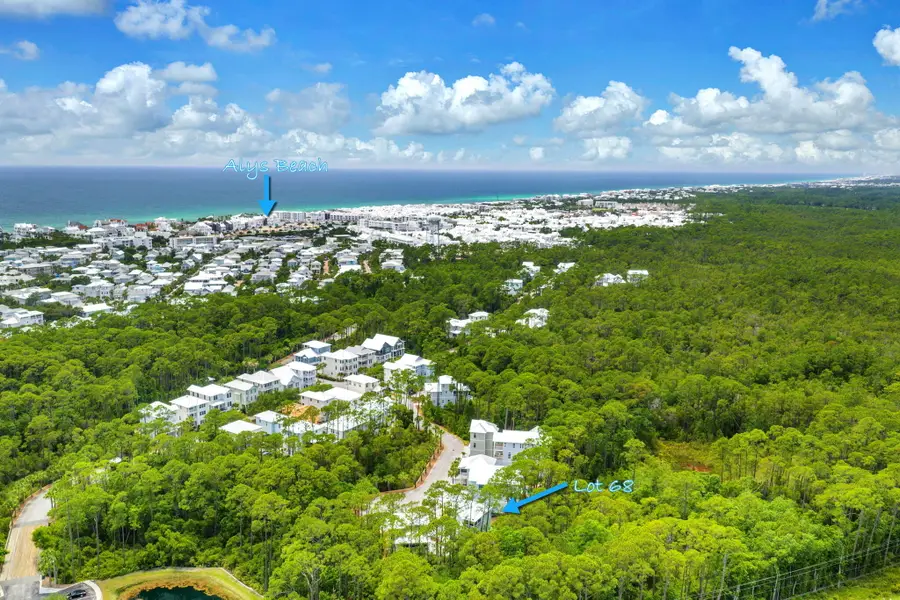 Lot 68 N Silver Maple Drive, Inlet Beach, FL 32461 - #3