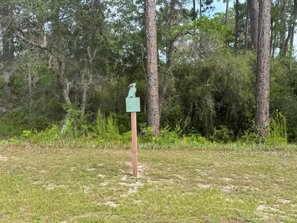 1530 Sharks Tooth Trail, Panama City Beach, FL 32413 - #1