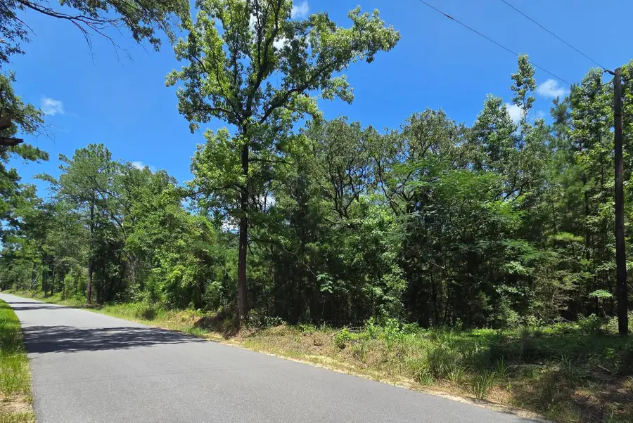 3389 Gainer Road, Chipley, FL 32428 - #2