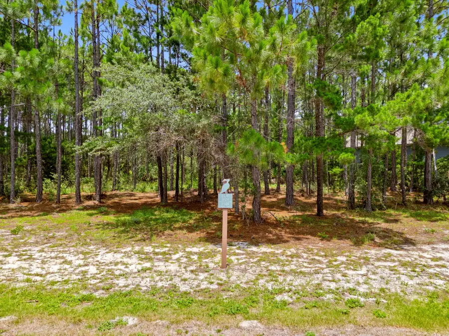 1509 Sweetbay Trail, Panama City Beach, FL 32413 - #2