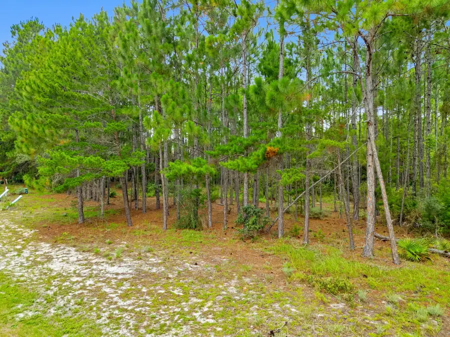 1509 Sweetbay Trail, Panama City Beach, FL 32413 - #3