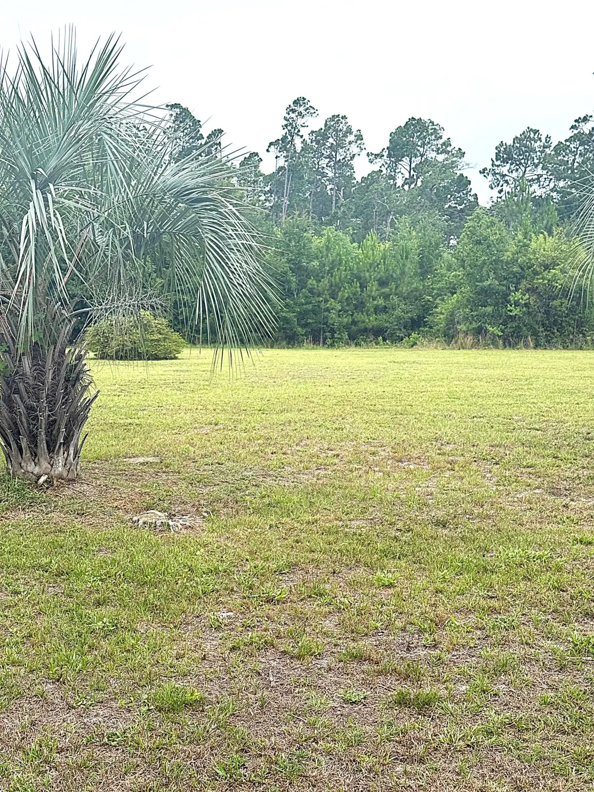 Lot 3 Oak Grove Avenue, Port Saint Joe, FL 32456 - #1