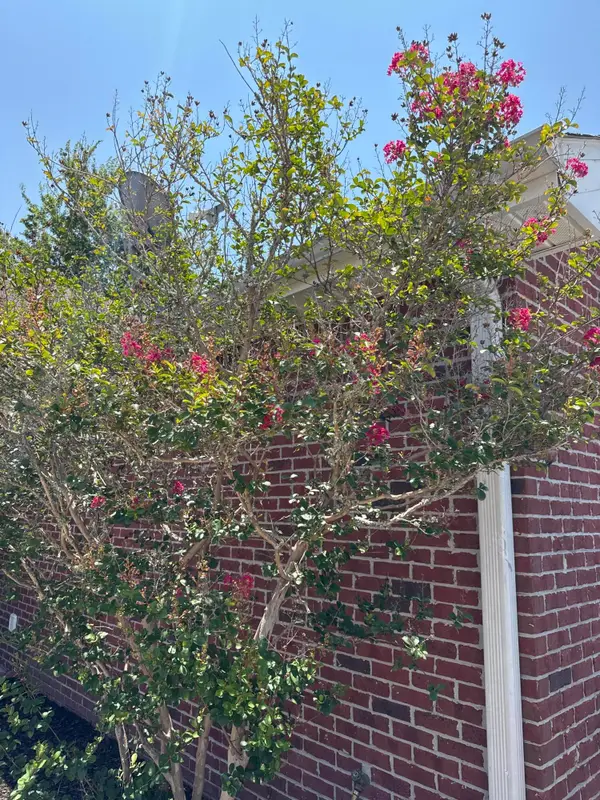 1014 Airport Road #173, Destin, FL 32541