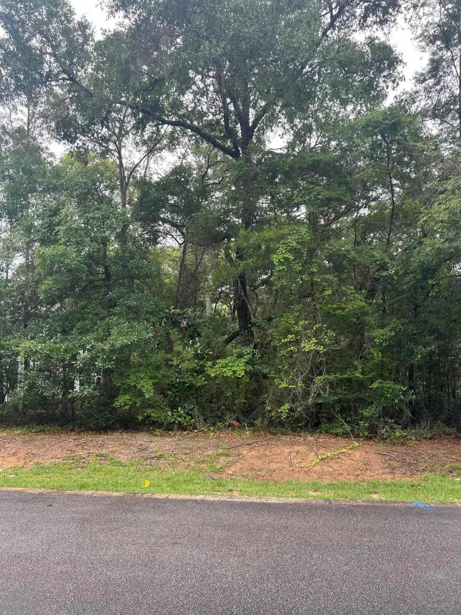Lot 72 S J Hunter S Way, Freeport, FL 32439 - #3