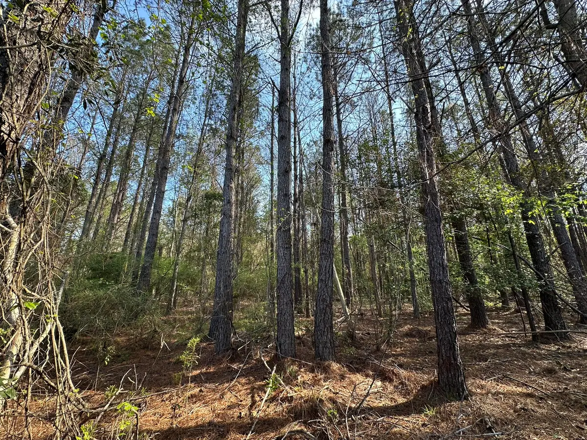 .83+/- ac Lett Road, Other, AL 00N/A - #1