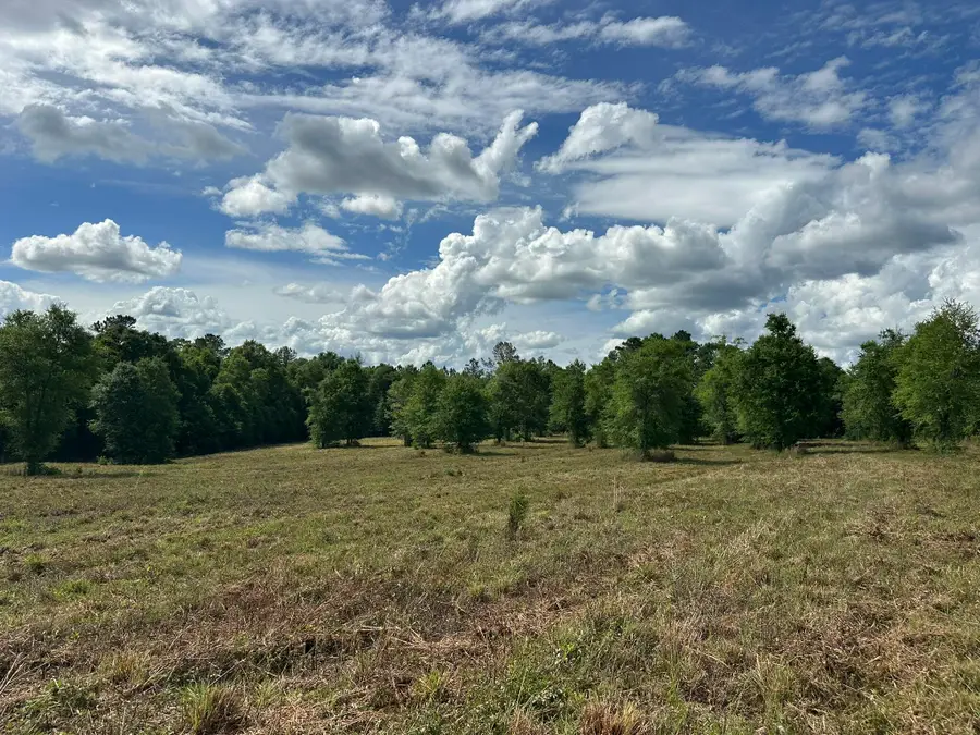 West 58 AC County Road 20/new Ebenezer Road, Florala, AL 36442 - #3