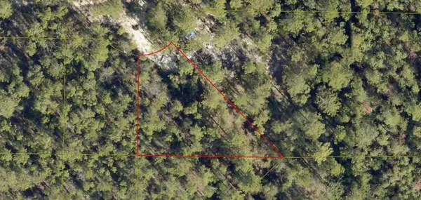 Lot 2 E Buckeye East, DeFuniak Springs, FL 32433