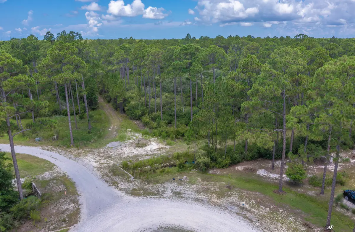 6624 Button Buck Trail, Panama City Beach, FL 32413 - #1