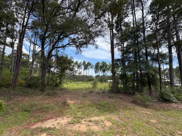 0 Co Hwy 3280, Freeport, FL 32439