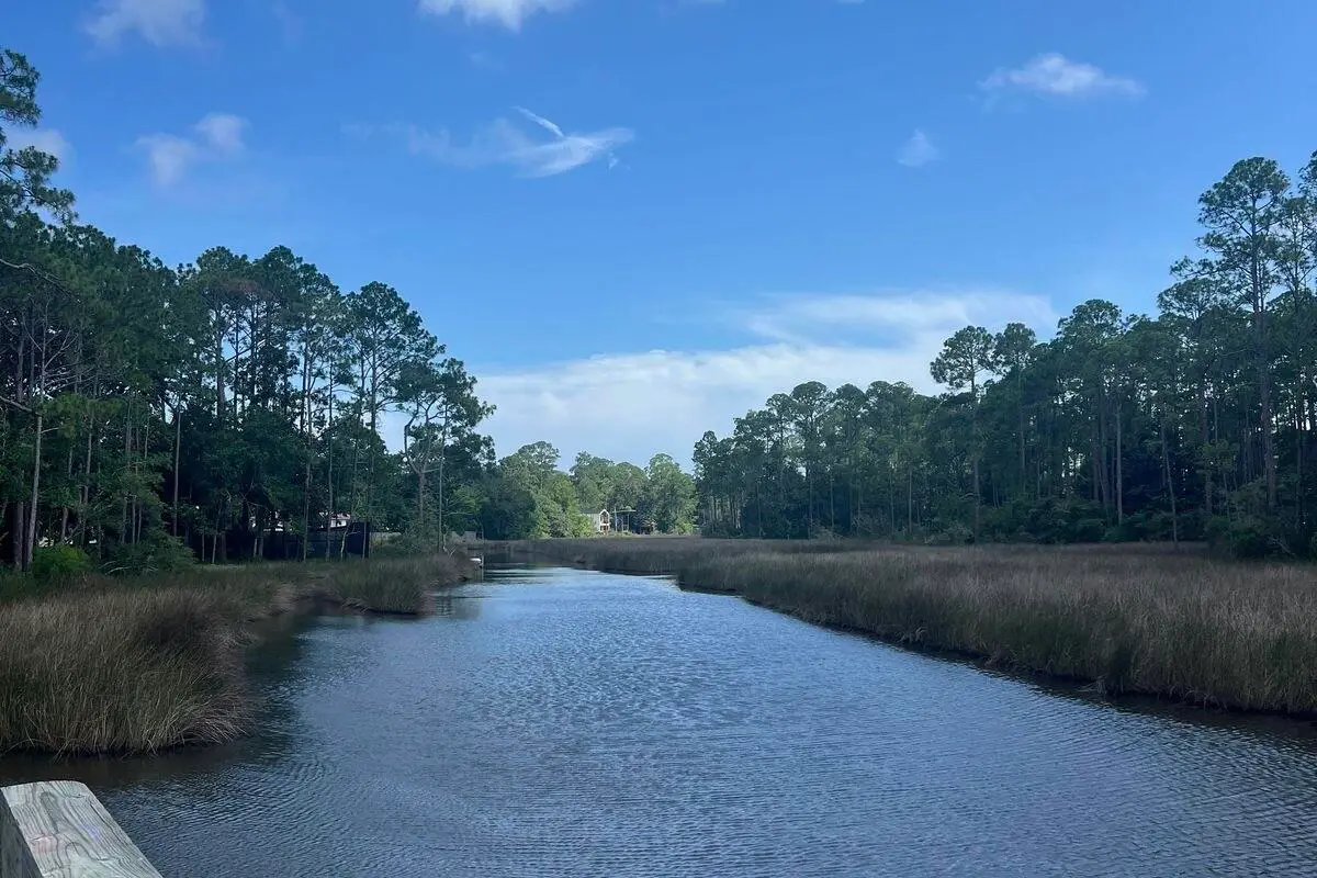 1185 N Co Highway 393, Santa Rosa Beach, FL 32459 - #1