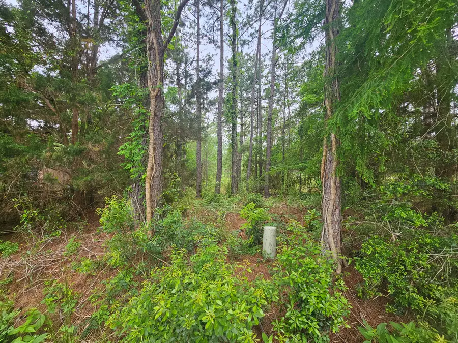 Lot #2 Dolphin Cove, Freeport, FL 32439 - #3
