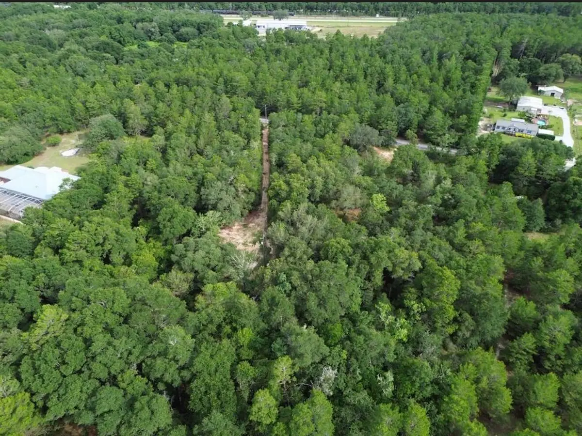 338 Carol Lane, Defuniak Springs, FL 32433 - #1