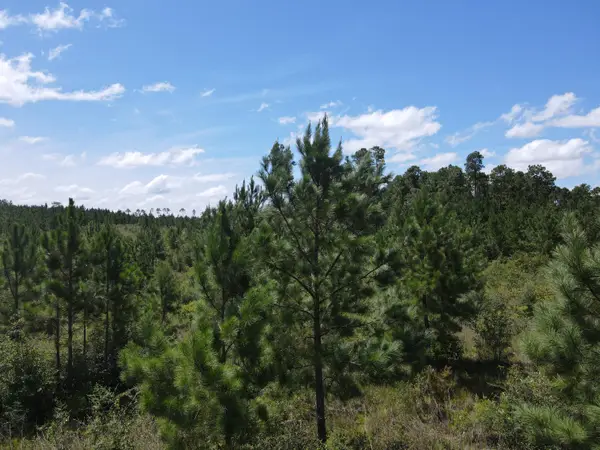 A-12 Silas Drive, Milton, FL 32570