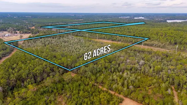 62 Acres Maes Lane, DeFuniak Springs, FL 32433
