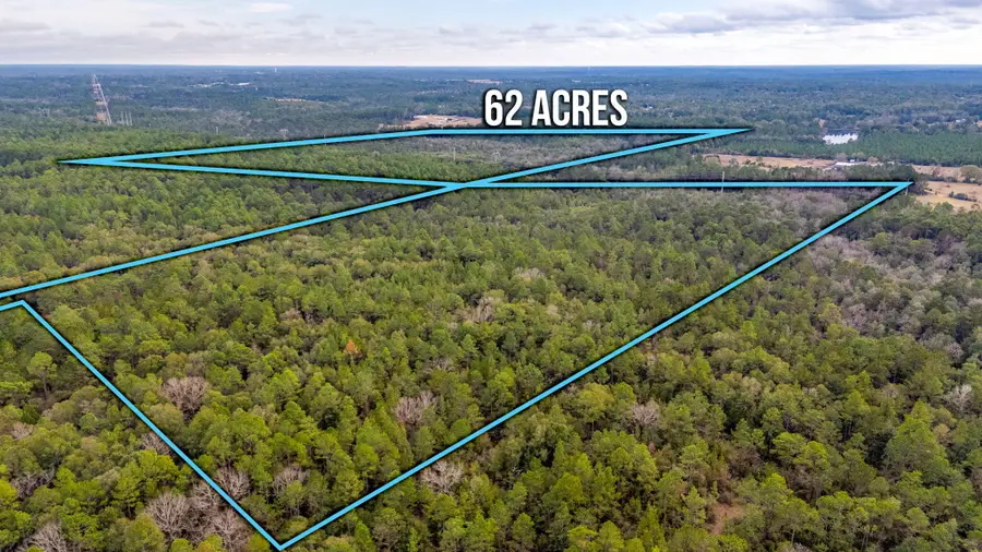 62 Acres Maes Lane, Defuniak Springs, FL 32433 - #2