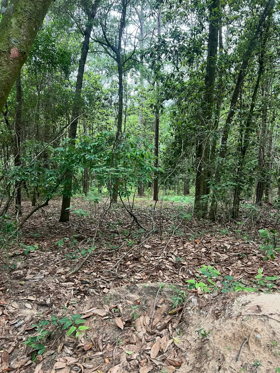 Parcel A Willow Lane #Parcel A, Crestview, FL 32539 - #3