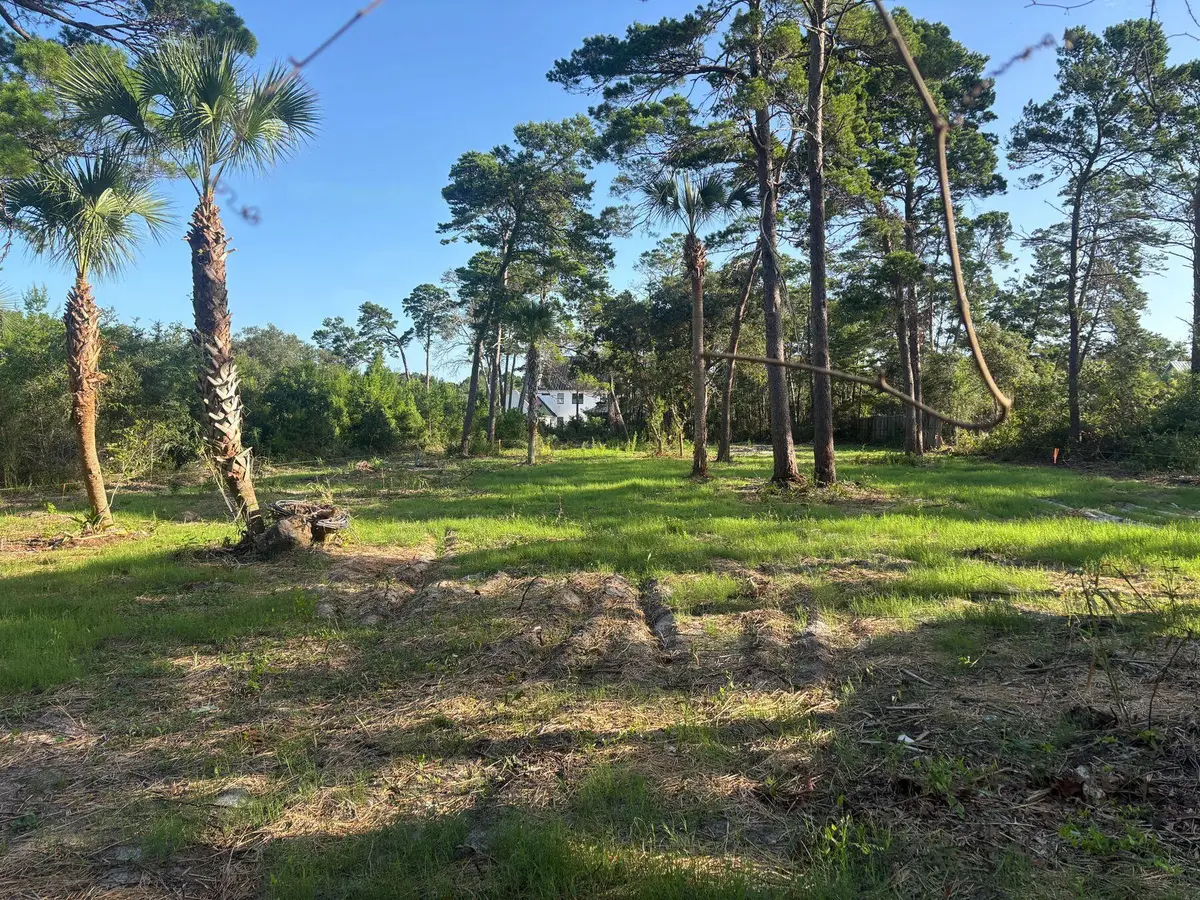 291 E Pinewood Lane, Inlet Beach, FL 32461 - #1