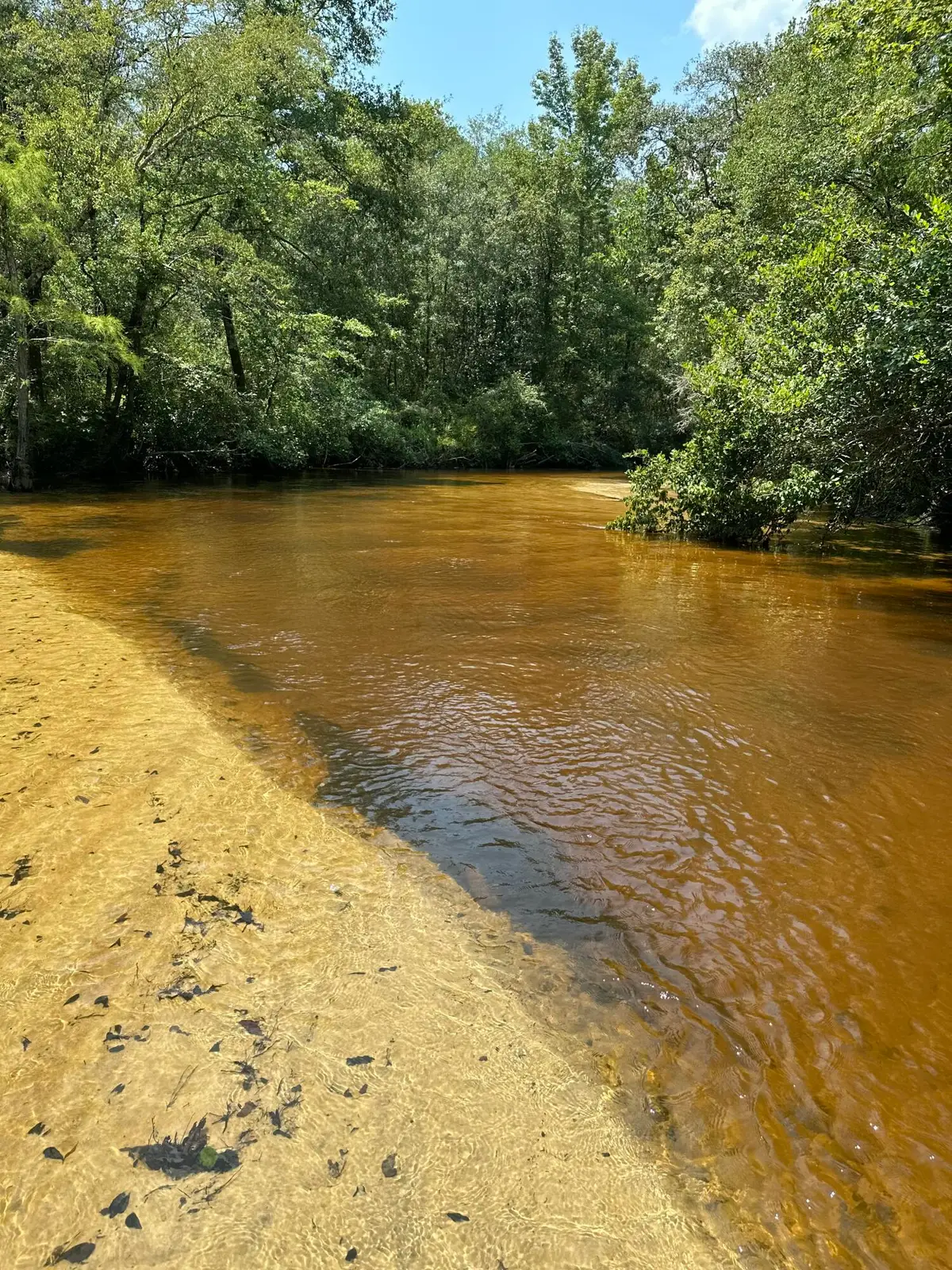 Lots 23&24 Plantation Lane, Defuniak Springs, FL 32433 - #1