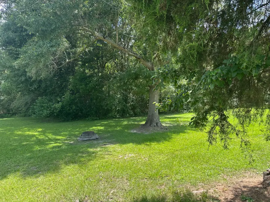 XXX Heimer Drive, Opp, AL 36467 - #3