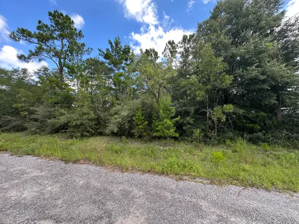 TBD Pinetree Lane, DeFuniak Springs, FL 32433