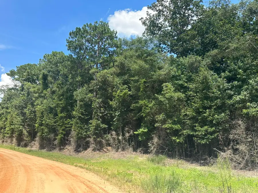 TBD Piney Grove Road, Opp, AL 36467 - #2