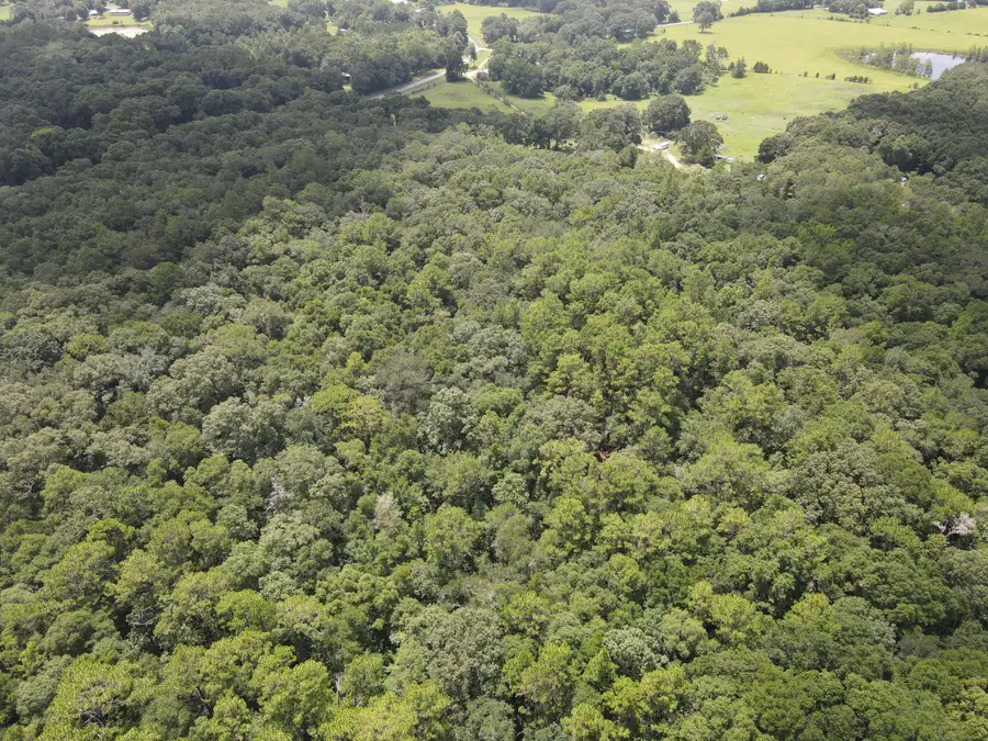 3928 E Co Highway 181, Westville, FL 32464 - #3