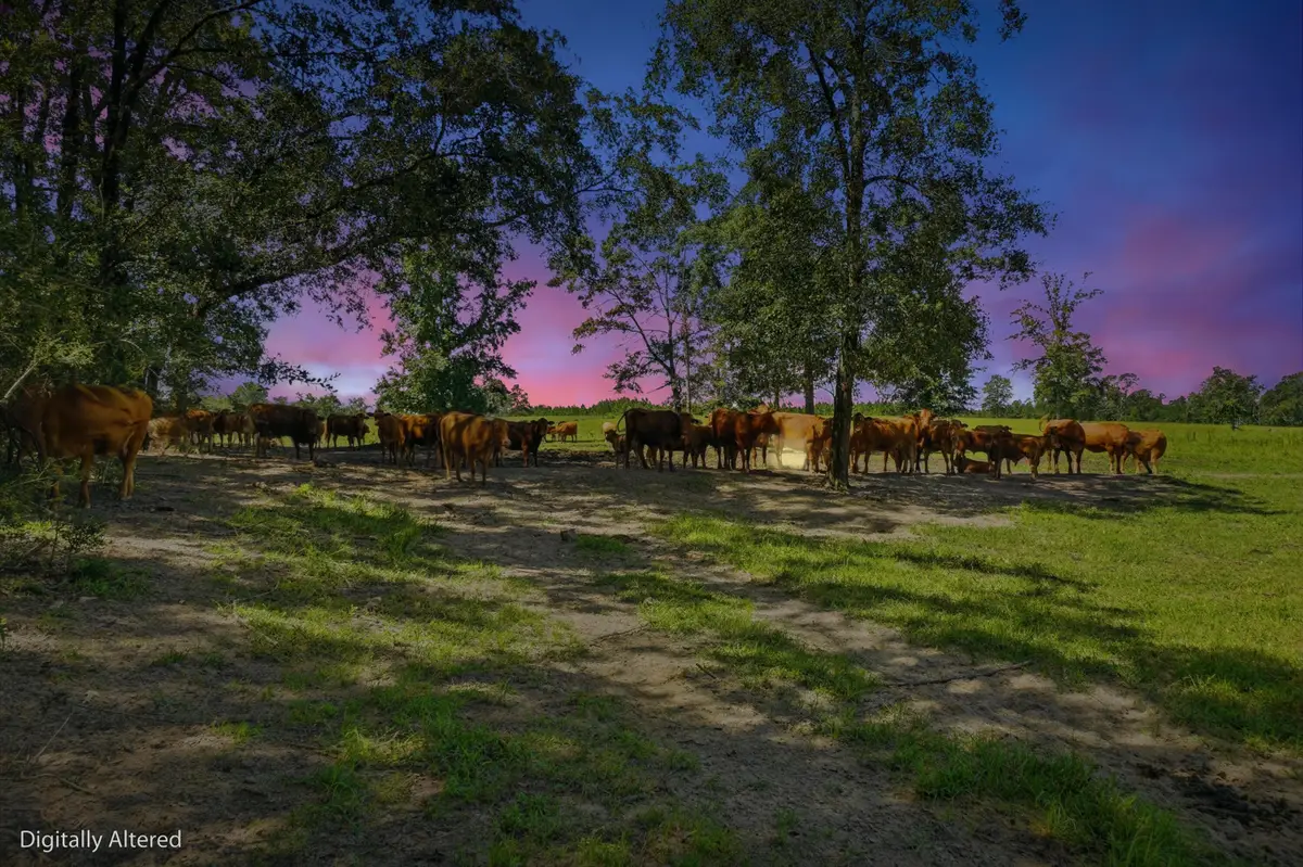520 Acres Us Hwy 331 N, Defuniak Springs, FL 32433 - #1