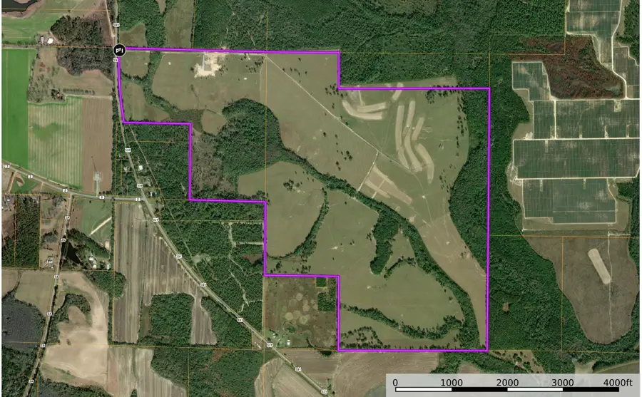 520 Acres Us Hwy 331 N, Defuniak Springs, FL 32433 - #3
