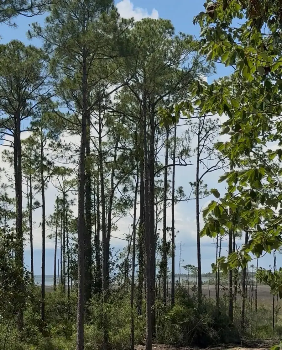 Lot 9 19th Street, Santa Rosa Beach, FL 32459 - #2