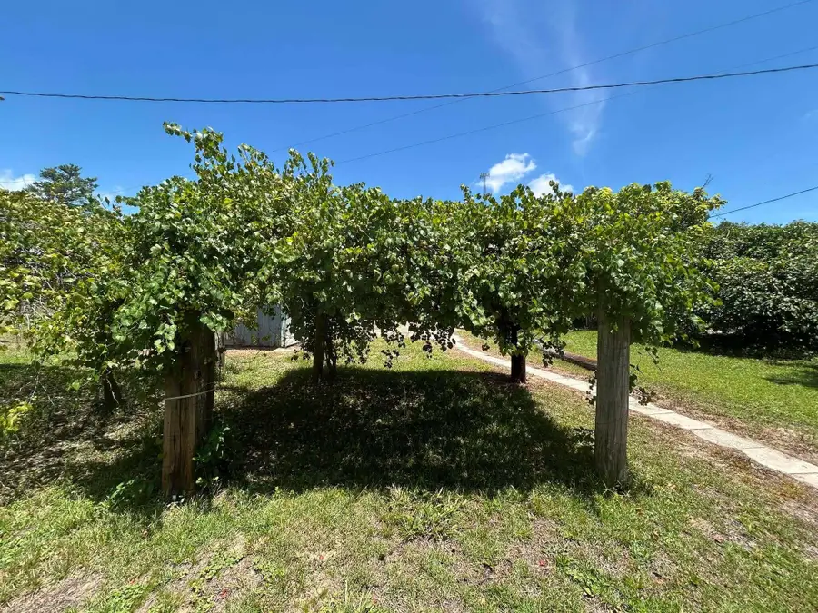 245 S Tram Road, Ponce De Leon, FL 32455 - #3