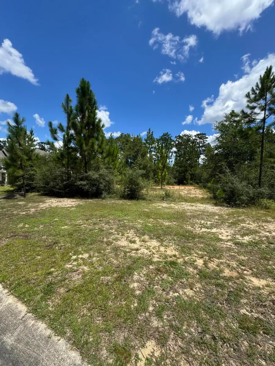 6611 Spyglass Hill Road, Laurel Hill, FL 32567 - #2