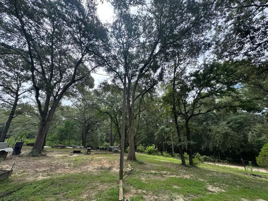 1971 Tower Lane, Westville, FL 32464 - #2