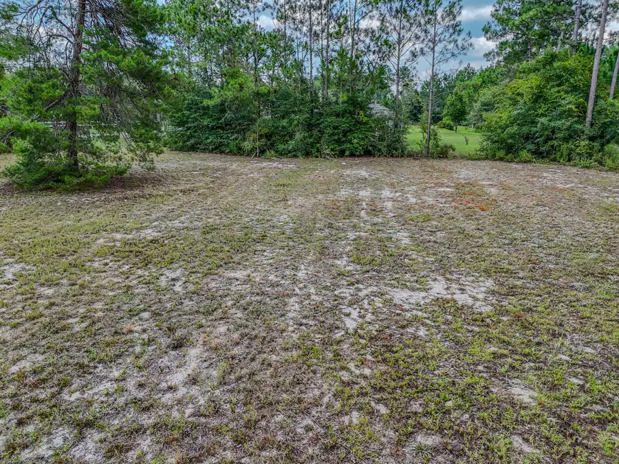 Lot 1A E Club House Drive, Freeport, FL 32439 - #3