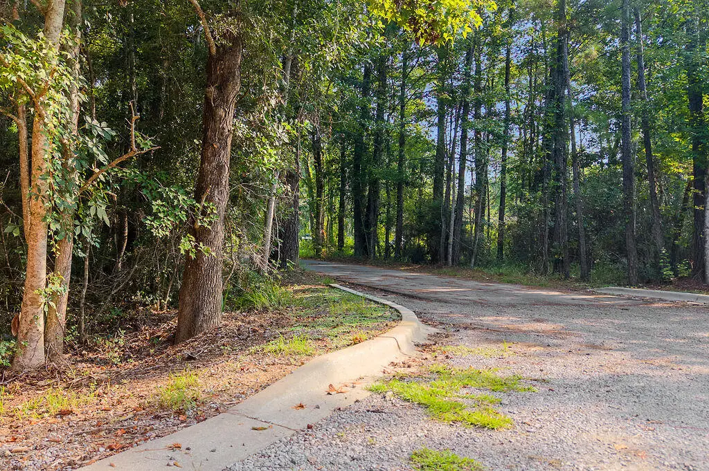 XXX Portland Park Road, Freeport, FL 32439 - #1
