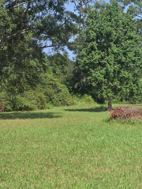 762 Doctor Nelson Road, DeFuniak Springs, FL 32433