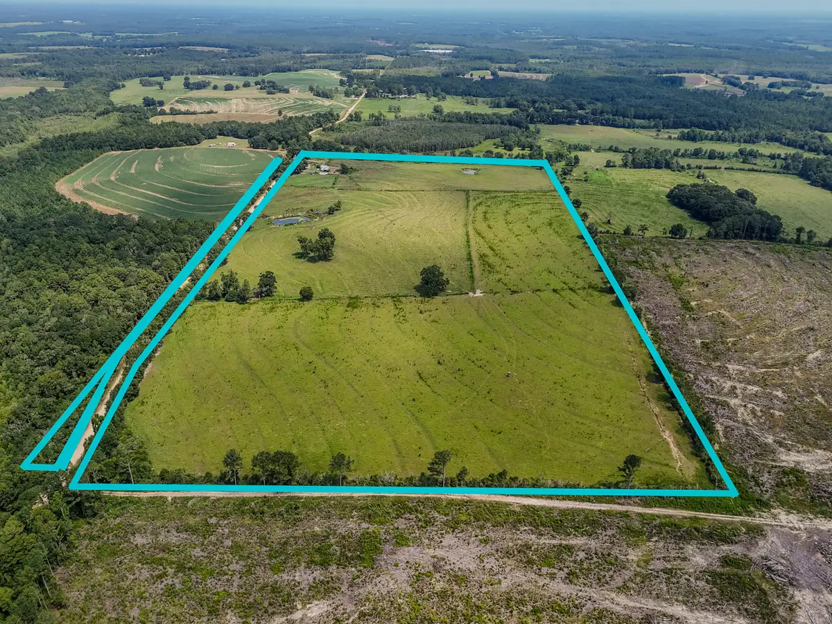 3957 Gopher Ridge Road, See Remarks, AL 00N/A - #1