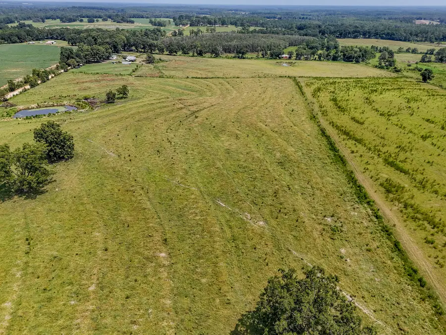 3957 Gopher Ridge Road, See Remarks, AL 00N/A - #3