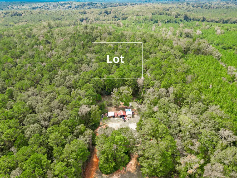 00 S Hwy 81, Ponce De Leon, FL 32455 - #3