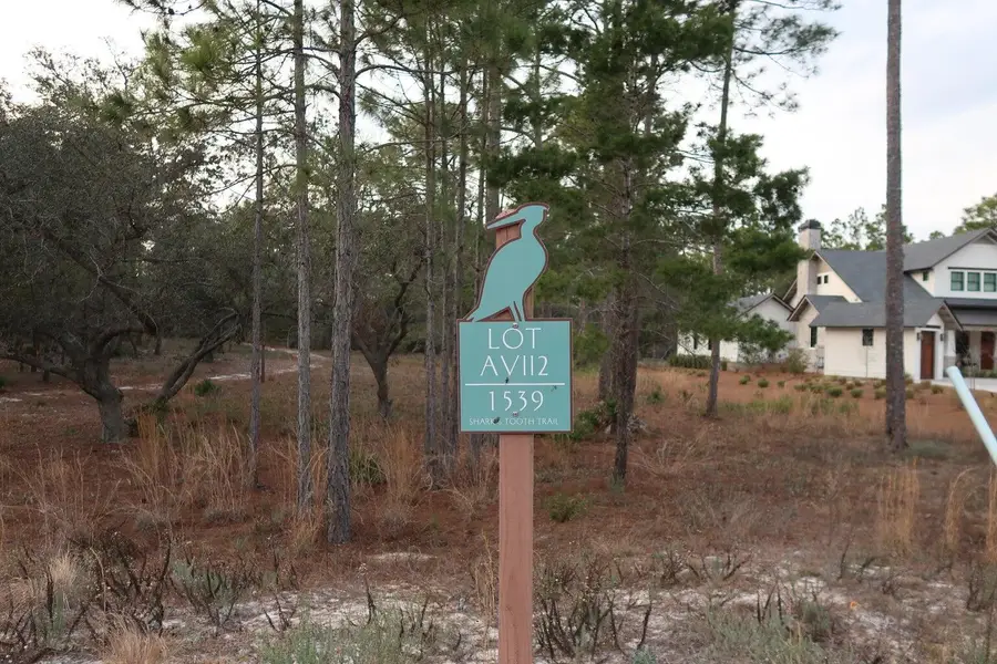 1539 Sharks Tooth Trail, Panama City Beach, FL 32413 - #2