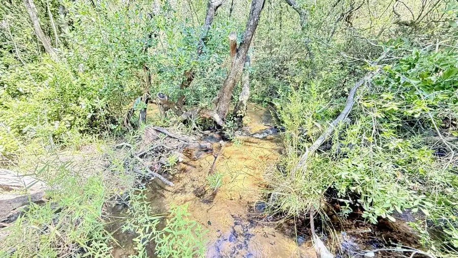2.84 Acres White Road, Defuniak Springs, FL 32433 - #2