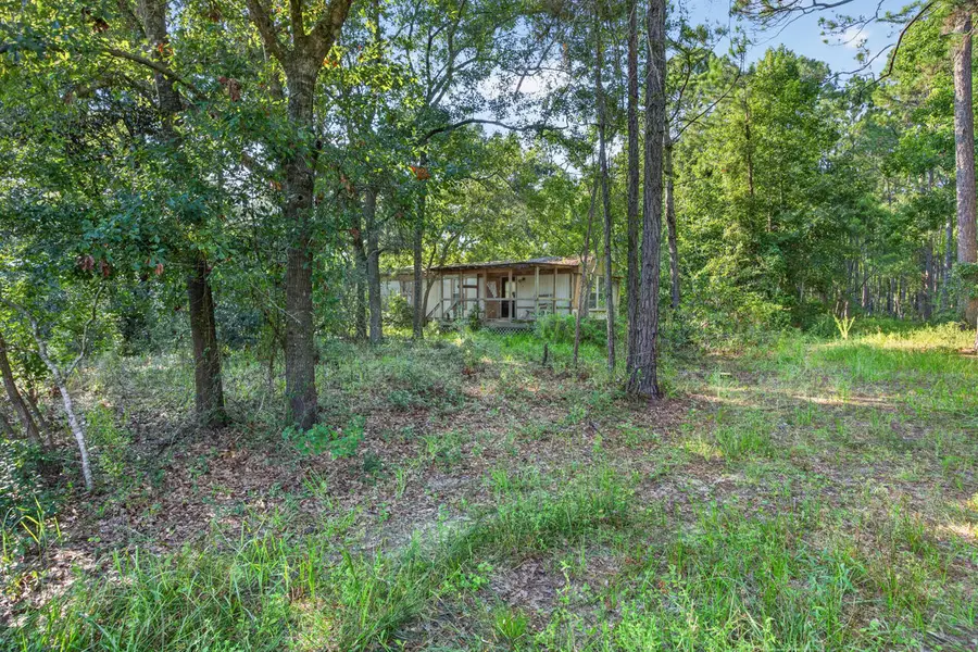 365 E Nursery Road, Santa Rosa Beach, FL 32459 - #3
