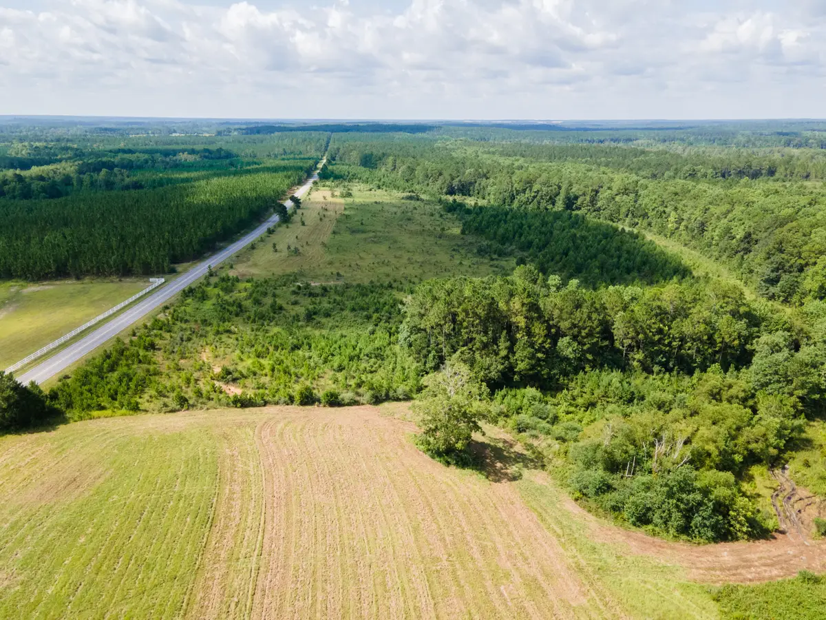 Lot 1 Campbell Road, Defuniak Springs, FL 32435 - #1