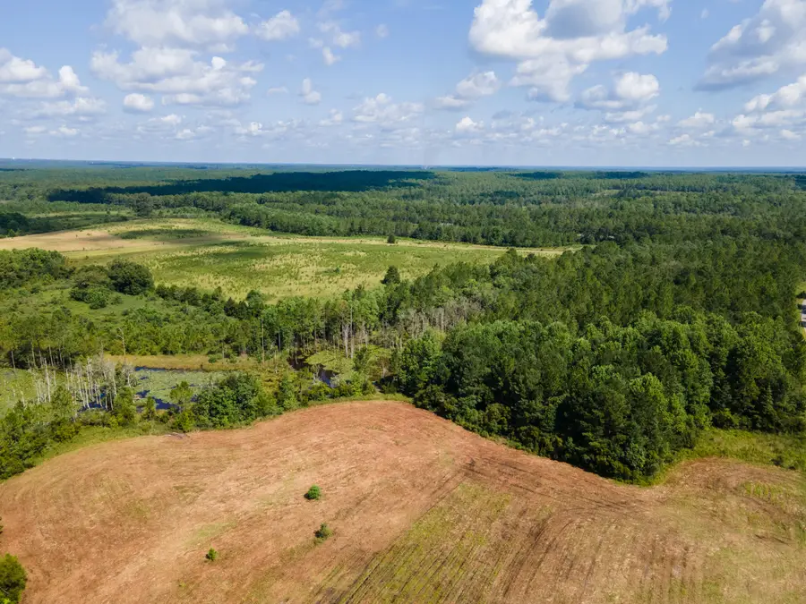 Lot 3 Campbell Road, Defuniak Springs, FL 32435 - #2