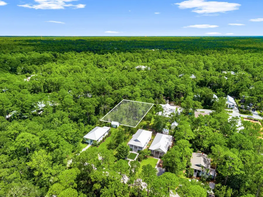 Lot 21/22 Georgie East Street, Santa Rosa Beach, FL 32459 - #2