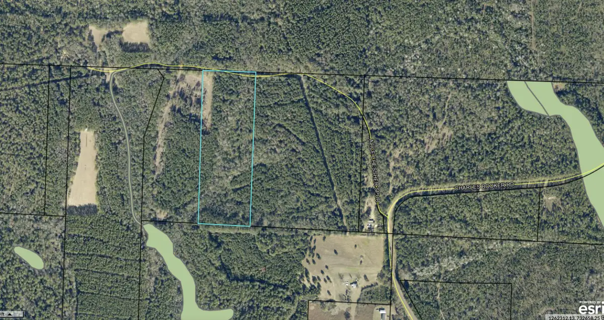 TBD Charlie Booker Road, Baker, FL 32531 - #1