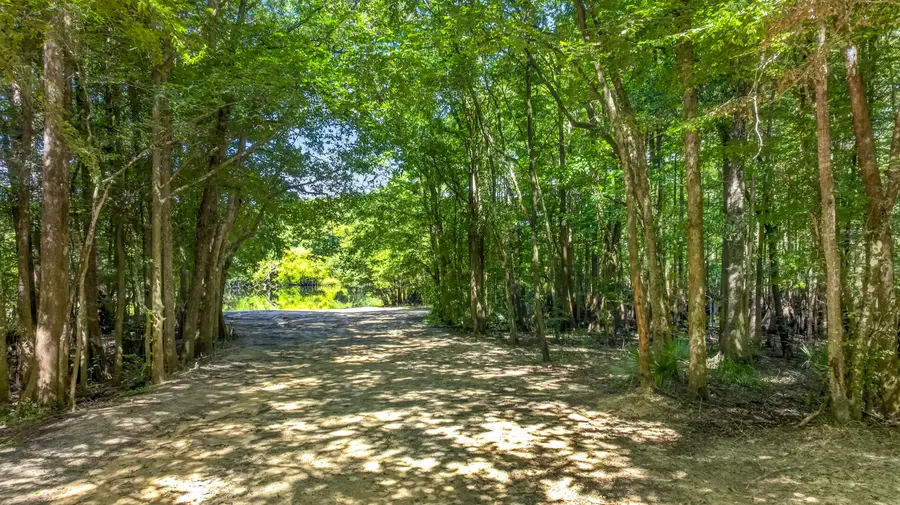 19 Acres Potter Spring Road, Vernon, FL 32462 - #3