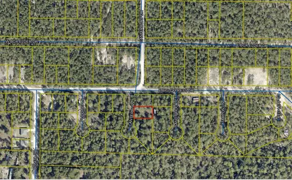 25 Canterbury Court, DeFuniak Springs, FL 32433