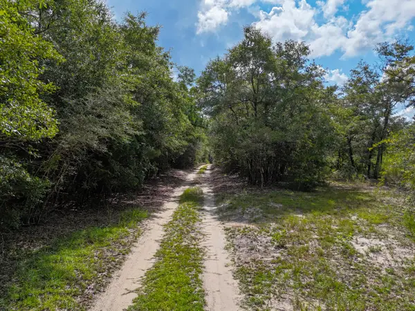 40 Acres Mossy Bend Road, Red Bay, FL 32455